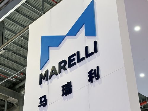 馬瑞利攜多項(xiàng)可快速量產(chǎn)創(chuàng)新技術(shù)亮相2025上海車展 技術(shù)開發(fā)